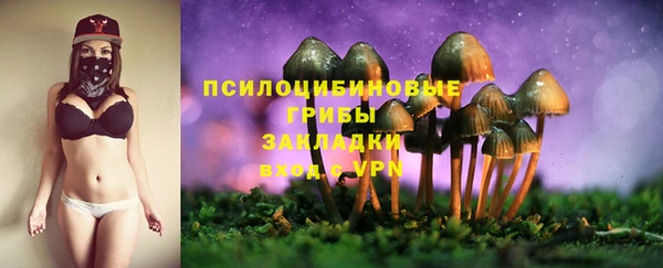 а пвп мука Зеленодольск