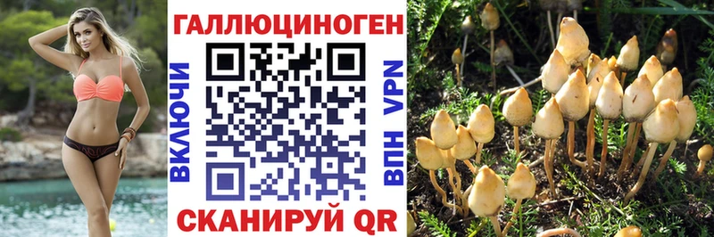 Галлюциногенные грибы Magic Shrooms  Купить закладки  Конаково 