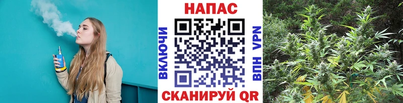 Конопля план  Купить  Конаково 